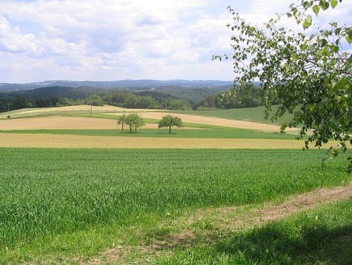 Click on the photo for the original