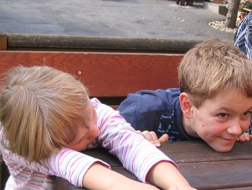 Click on the photo for the original