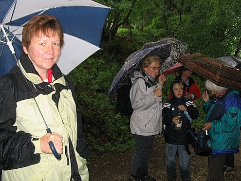 Click on the photo for the original