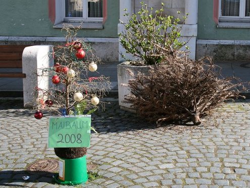 Click on the photo for the original