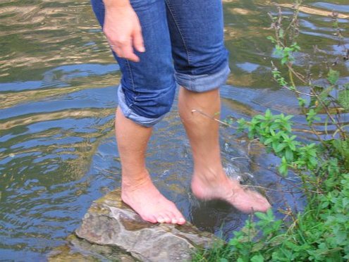 Click on the photo for the original